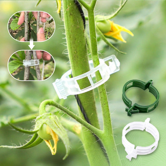 Secured Plastic Plant Clips