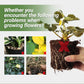 Promote The Growth of Flowers and Fruits-Special Bone Meal Organic Fertilizer