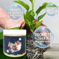 Promote The Growth of Flowers and Fruits-Special Bone Meal Organic Fertilizer
