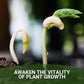 Promote The Growth of Flowers and Fruits-Special Bone Meal Organic Fertilizer