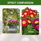Promote The Growth of Flowers and Fruits-Special Bone Meal Organic Fertilizer