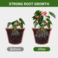 Promote The Growth of Flowers and Fruits-Special Bone Meal Organic Fertilizer